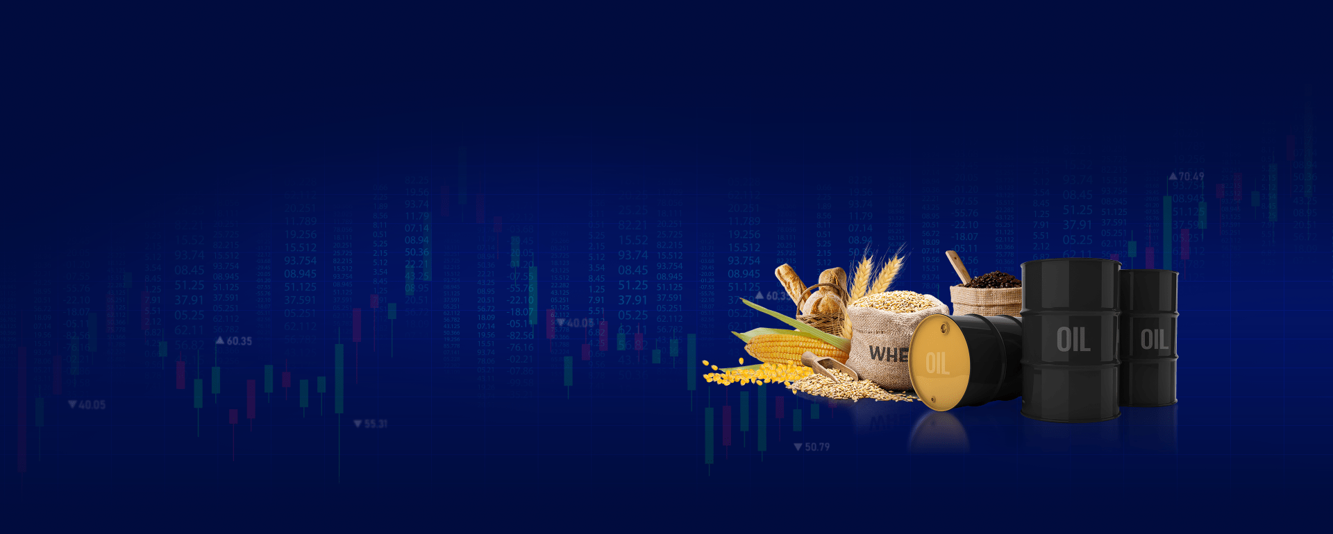 banner-image
